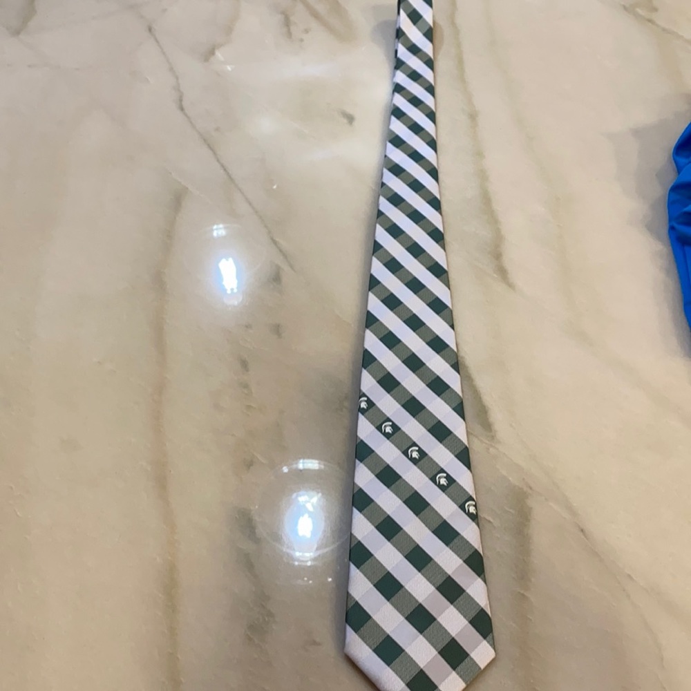 New Men’s Michigan Tie